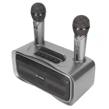 ST-2028 Nešiojamų Karaoke Garsiakalbių Sistema Karaoke Mašina su 2 Mic už Vestuves 